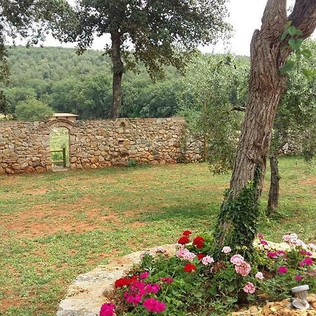 La Tenuta Di Castelvecchio 圣吉米纳诺 外观 照片