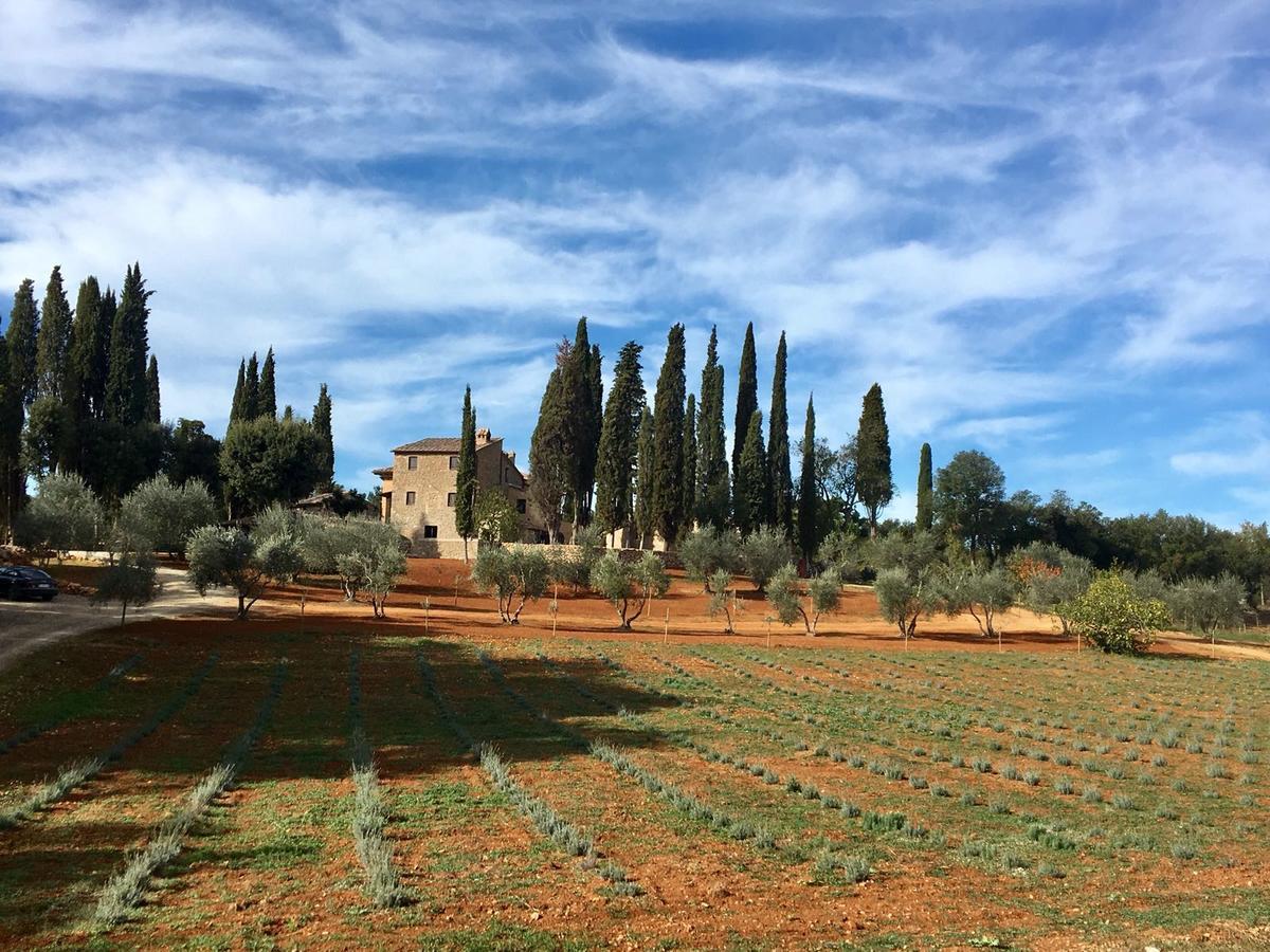 La Tenuta Di Castelvecchio 圣吉米纳诺 外观 照片