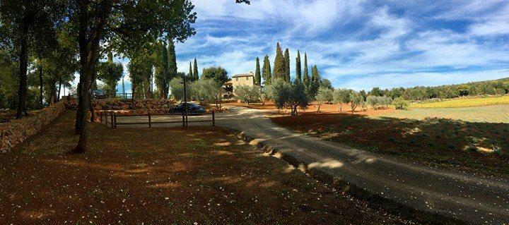 La Tenuta Di Castelvecchio 圣吉米纳诺 外观 照片